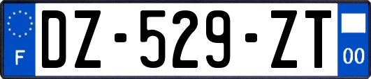 DZ-529-ZT