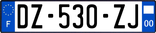 DZ-530-ZJ