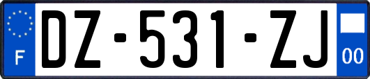 DZ-531-ZJ