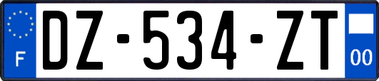 DZ-534-ZT