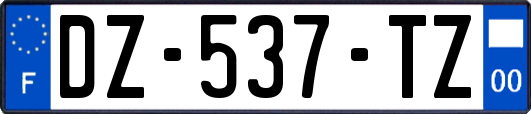 DZ-537-TZ