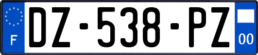 DZ-538-PZ