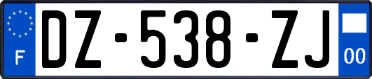 DZ-538-ZJ