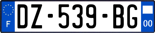 DZ-539-BG