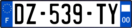 DZ-539-TY