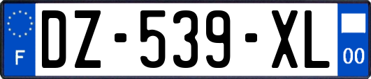 DZ-539-XL