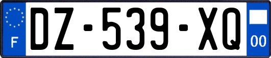 DZ-539-XQ