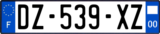 DZ-539-XZ