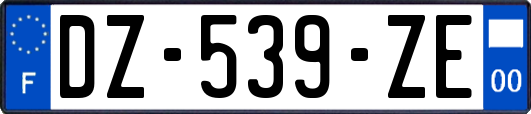 DZ-539-ZE