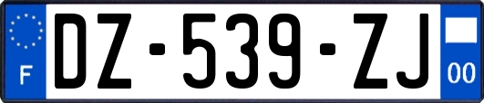 DZ-539-ZJ