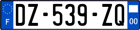 DZ-539-ZQ