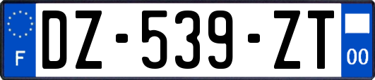 DZ-539-ZT