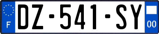 DZ-541-SY