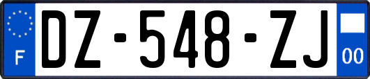 DZ-548-ZJ