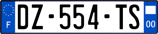 DZ-554-TS