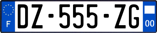 DZ-555-ZG