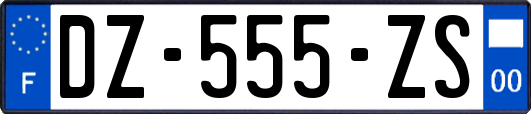 DZ-555-ZS