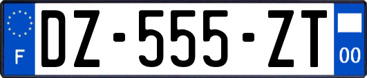 DZ-555-ZT