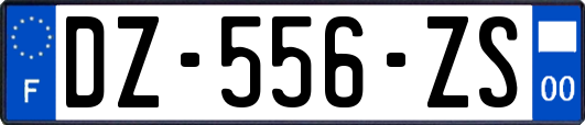 DZ-556-ZS