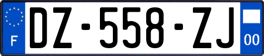 DZ-558-ZJ