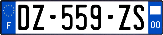 DZ-559-ZS