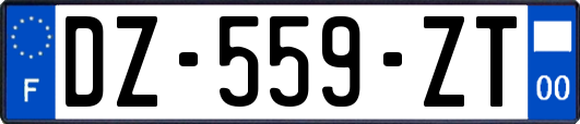 DZ-559-ZT