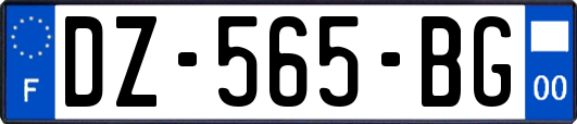 DZ-565-BG