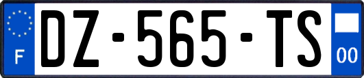 DZ-565-TS