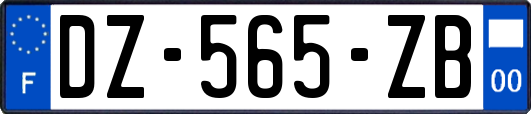 DZ-565-ZB