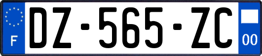 DZ-565-ZC