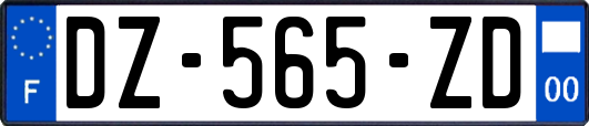 DZ-565-ZD