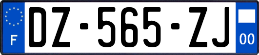 DZ-565-ZJ