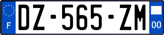 DZ-565-ZM