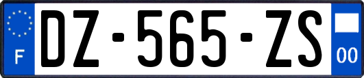 DZ-565-ZS