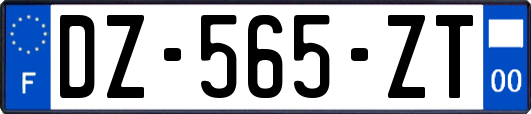 DZ-565-ZT