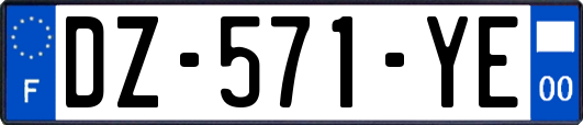 DZ-571-YE