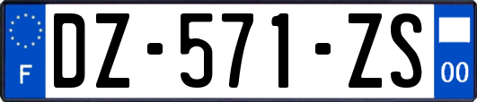 DZ-571-ZS