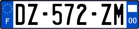 DZ-572-ZM