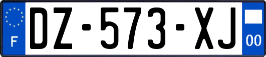 DZ-573-XJ