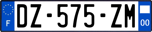 DZ-575-ZM