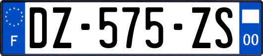 DZ-575-ZS