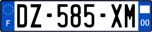 DZ-585-XM