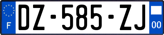 DZ-585-ZJ