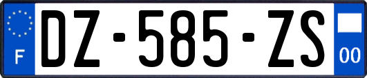 DZ-585-ZS