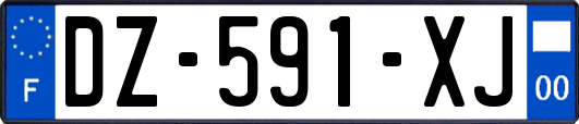 DZ-591-XJ