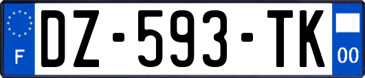 DZ-593-TK