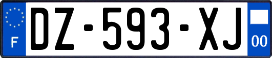 DZ-593-XJ