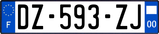 DZ-593-ZJ