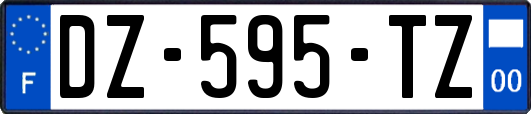 DZ-595-TZ