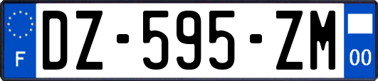 DZ-595-ZM